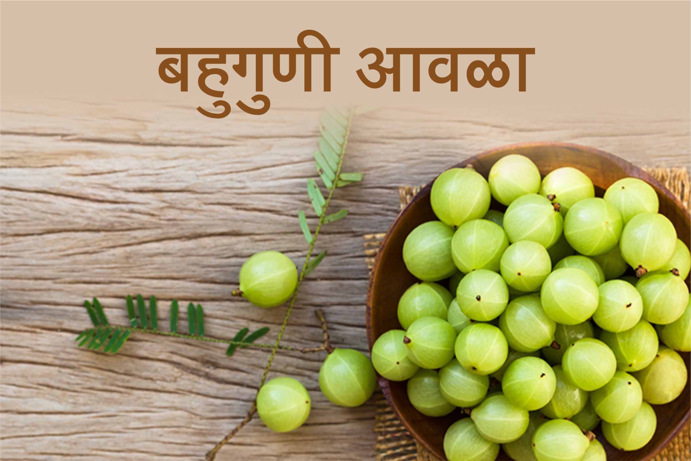 बहुगुणी आवळा